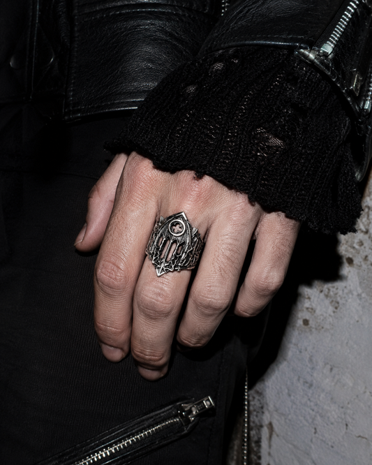 Anillo Catedral