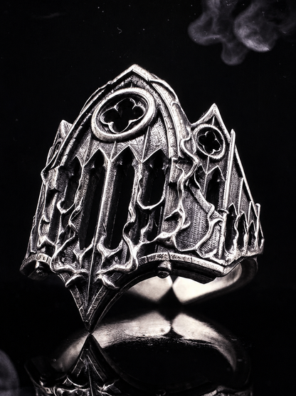 Anillo Catedral